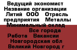 Ведущий экономист › Название организации ­ Литий, ООО › Отрасль предприятия ­ Металлы › Минимальный оклад ­ 24 000 - Все города Работа » Вакансии   . Новгородская обл.,Великий Новгород г.